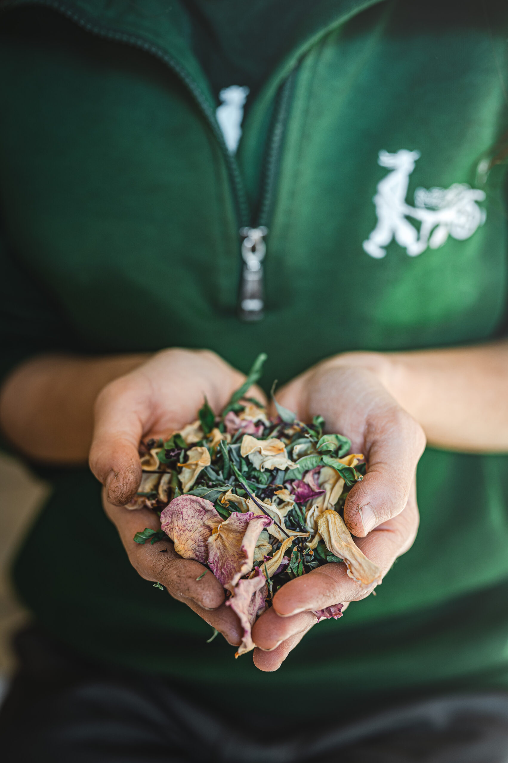 Composer sa tisane à l'hôtel restaurant l'Eco-Domaine La Fontaine à Pornic