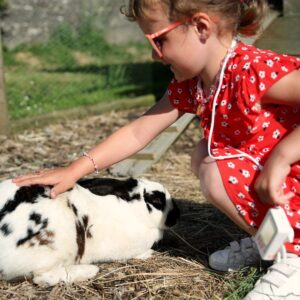 Pansage des animaux (activité enfants) à l'hôtel restaurant l'Eco-Domaine La Fontaine à Pornic