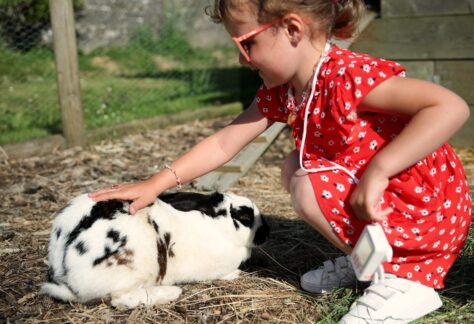 Pansage des animaux (activité enfants) à l'hôtel restaurant l'Eco-Domaine La Fontaine à Pornic