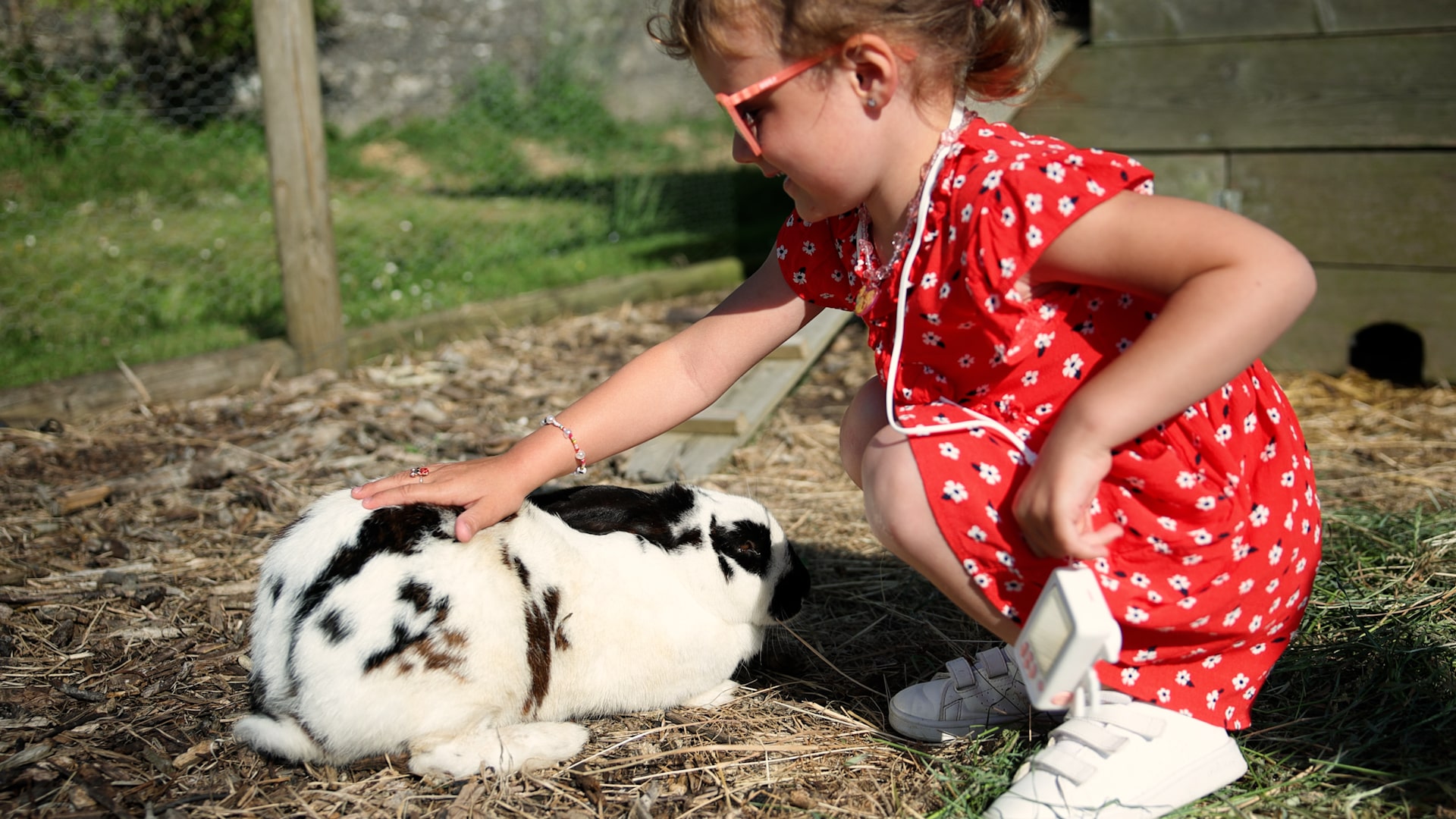 Pansage des animaux (activité enfants) à l'hôtel restaurant l'Eco-Domaine La Fontaine à Pornic