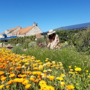 Balade Botanique Contée Pornic activités enfants et adultes