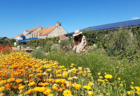 Balade Botanique Contée Pornic activités enfants et adultes