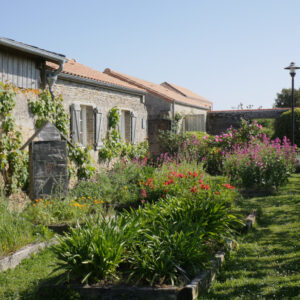 Visitez une ferme en permaculture (légumes, vignes, animaux, tisanes)