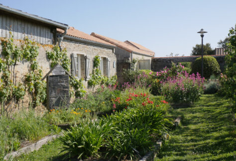 Visitez une ferme en permaculture (légumes, vignes, animaux, tisanes)