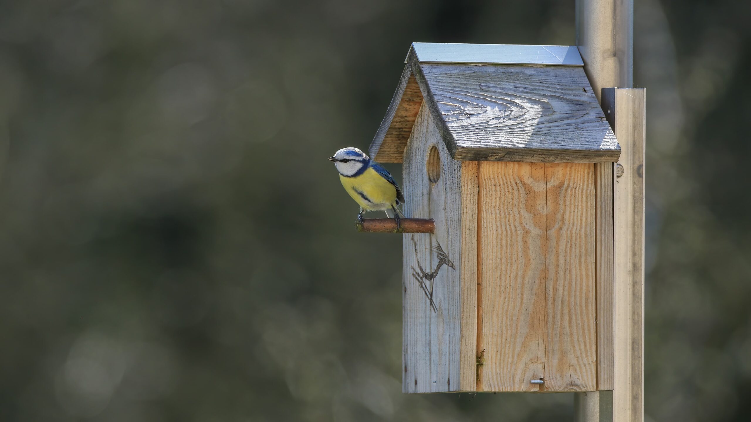 éco-domaine la fontaine, nichoir à oiseaux pornic